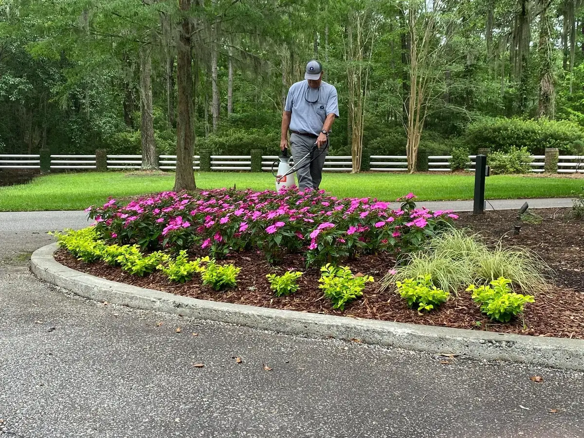 Colorful entrance planting along a commercial property drive