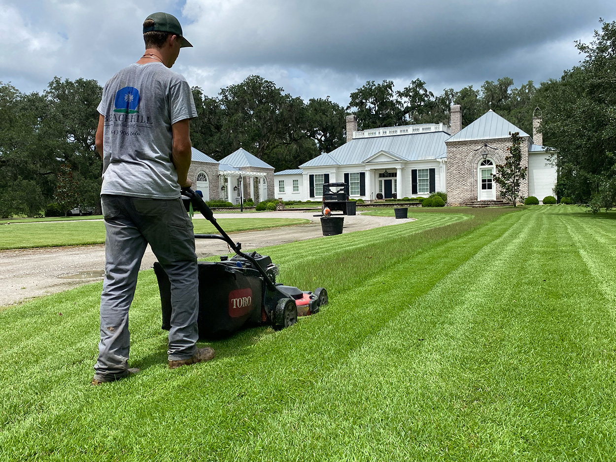 High-end lawn maintenance with a carefully finished landscape